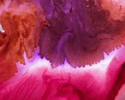 Photographie macro artistique montrant des volutes d'encre colorée se dispersant de manière chaotique et fluide dans un liquide clair.